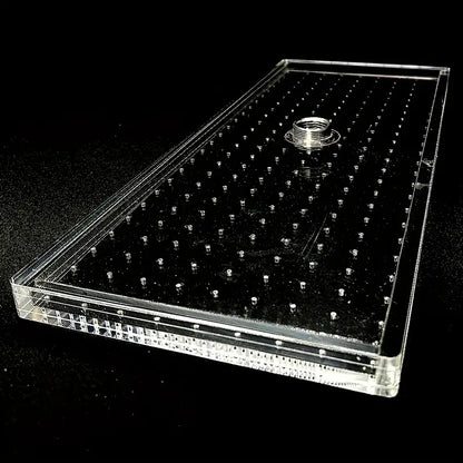 EcoWave® Tech – Transparent Rain Shower Head